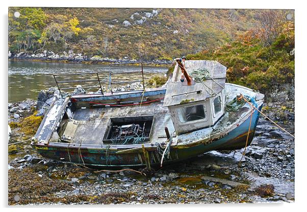 Ship Wreck Acrylic by Martin Kemp Wildlife