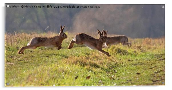 March Hare's Acrylic by Martin Kemp Wildlife