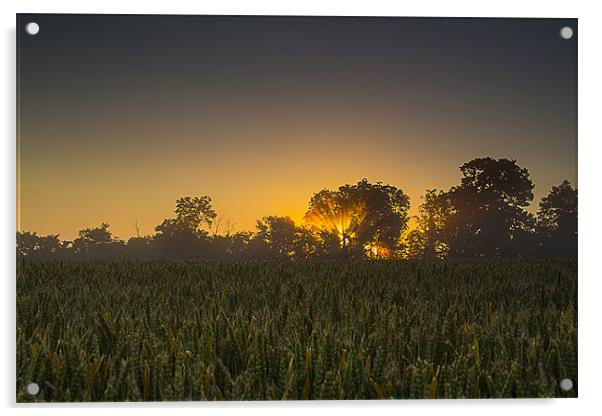Sunrise Acrylic by steven ibinson