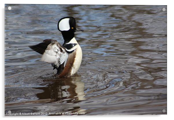 It's a duck Acrylic by Albert Gallant