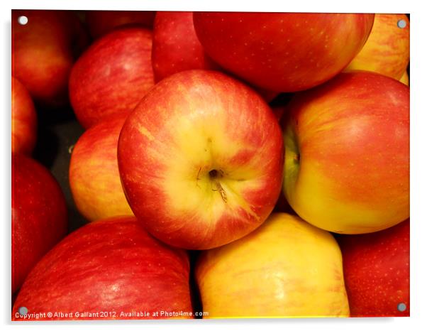 Apples Acrylic by Albert Gallant