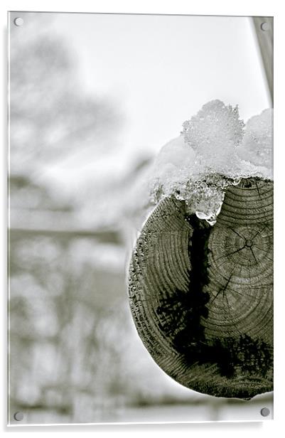 Ice Wood Acrylic by Simon Underwood