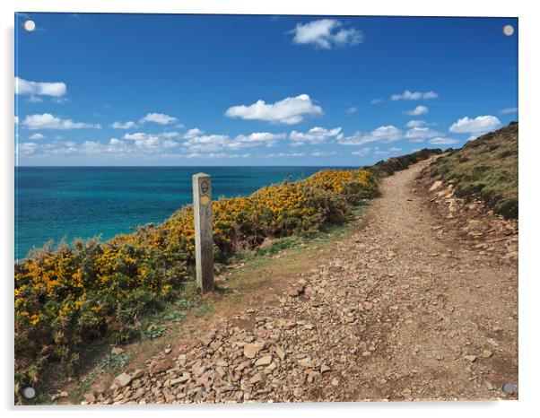 Cornwall sea and coast path Acrylic by mark humpage
