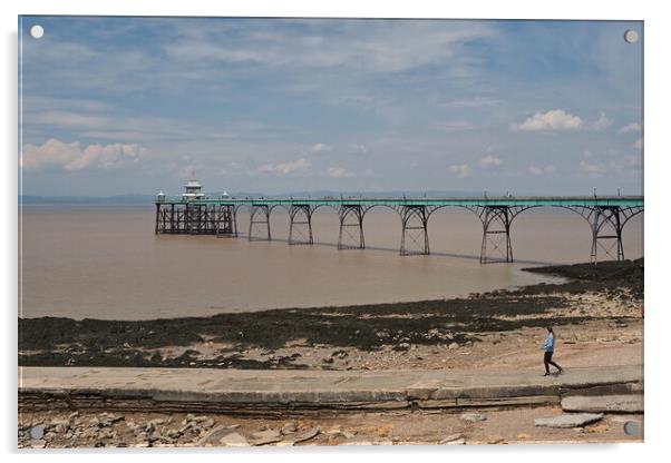 Clevedon Pier, Somerset Acrylic by mark humpage