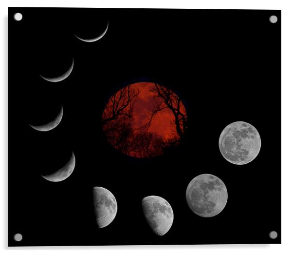 SuperMoon Montage Acrylic by mark humpage