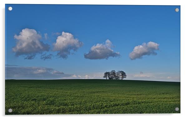 Cloud Train & Trees Acrylic by mark humpage