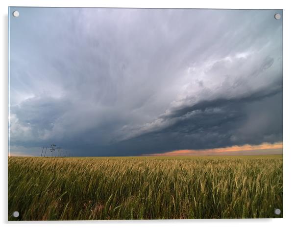 Kansas Storm Field Acrylic by mark humpage