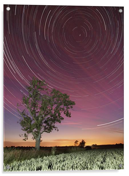 Star trail and tree Acrylic by mark humpage