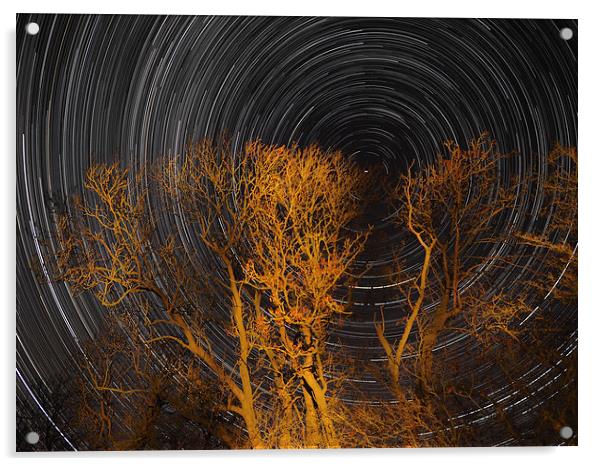 Star trail with trees Acrylic by mark humpage