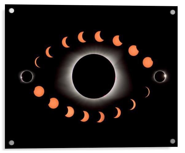 Solar Eclipse Montage Acrylic by mark humpage