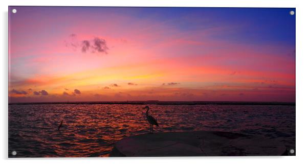 Red sky sunset sea view over water with heron Acrylic by mark humpage