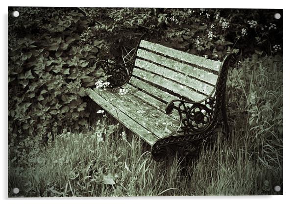 Neglected Bench Acrylic by Bill Simpson