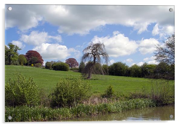 Willow by the Grand Union Acrylic by Bill Simpson