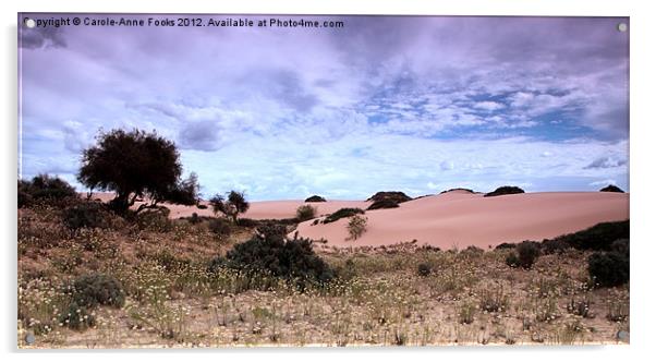 Dunes, Late Afternoon at Mungo Acrylic by Carole-Anne Fooks