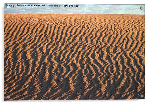 Slithering Sand after Sunrise Acrylic by Carole-Anne Fooks