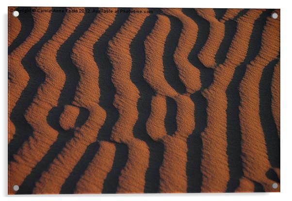 Dune Pattern Detail Acrylic by Carole-Anne Fooks
