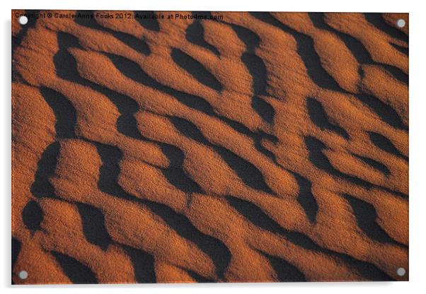 Dune Pattern Detail Acrylic by Carole-Anne Fooks