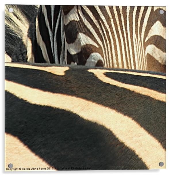 Abstract Zebra Acrylic by Carole-Anne Fooks