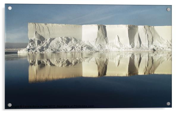 Iceberg Ross Sea Antarctica Acrylic by Carole-Anne Fooks