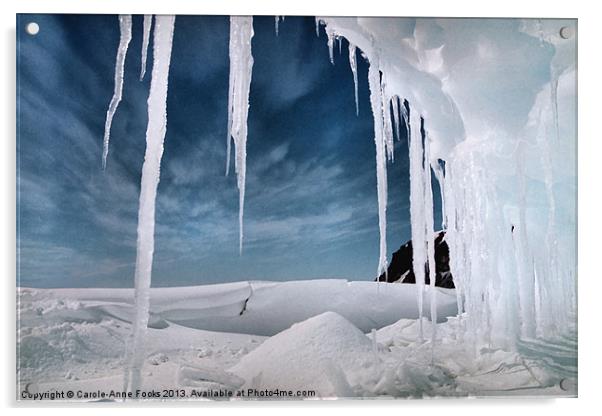 Ice Cave Cape Hallett Antarctica Acrylic by Carole-Anne Fooks