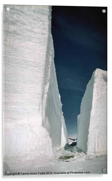 Tabular Icebergs Antarctica Acrylic by Carole-Anne Fooks