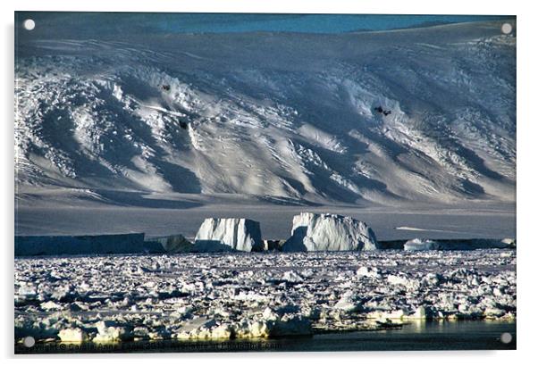 Icebergs & The Transantarctic Range Acrylic by Carole-Anne Fooks