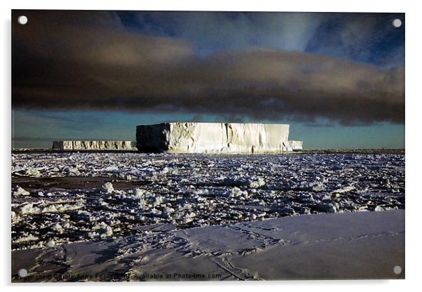 Icebergs Ross Sea Antarctica Acrylic by Carole-Anne Fooks