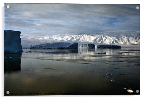 Icebergs & The Transantarctic Range Acrylic by Carole-Anne Fooks