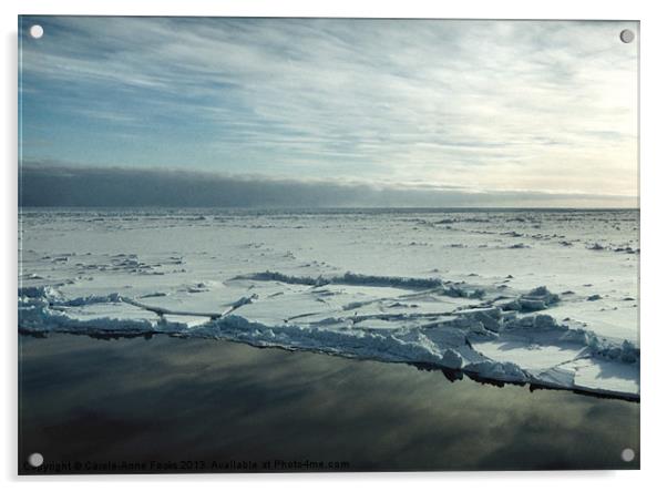 Sea Ice Antarctica Acrylic by Carole-Anne Fooks