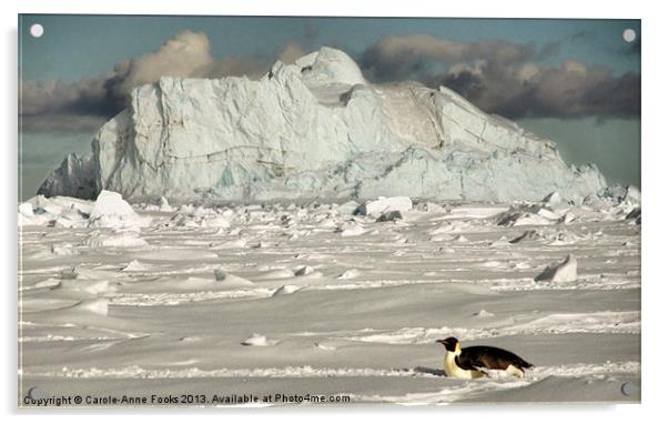 Emperor Penguin Cape Washington Antarctica Acrylic by Carole-Anne Fooks