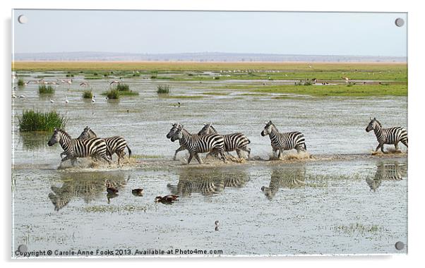 Zebra Crossing Kenya Acrylic by Carole-Anne Fooks