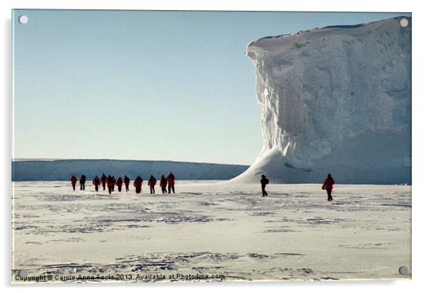 Trekking along the Drygalski Ice Tongue Acrylic by Carole-Anne Fooks