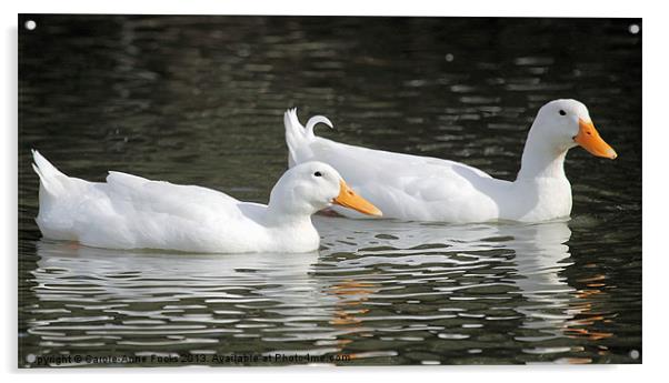 Loving Pair of Ducks Acrylic by Carole-Anne Fooks