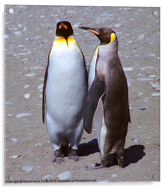 Pair of King Penguins Acrylic by Carole-Anne Fooks