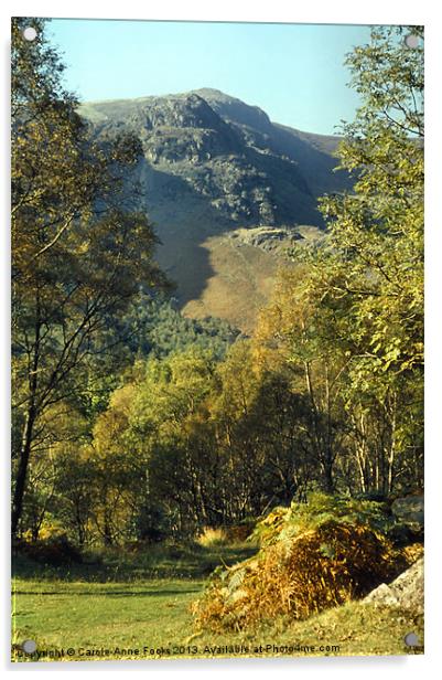 Lakes District at Borrowdale Acrylic by Carole-Anne Fooks