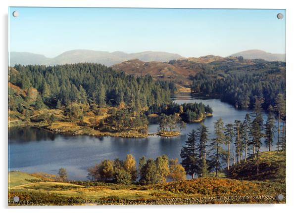 Tarn Hows The Lakes District Acrylic by Carole-Anne Fooks