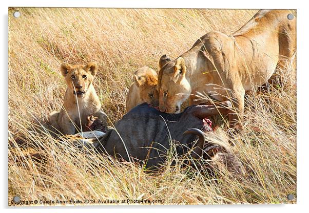 Lions at a Wildebeest Kill Acrylic by Carole-Anne Fooks