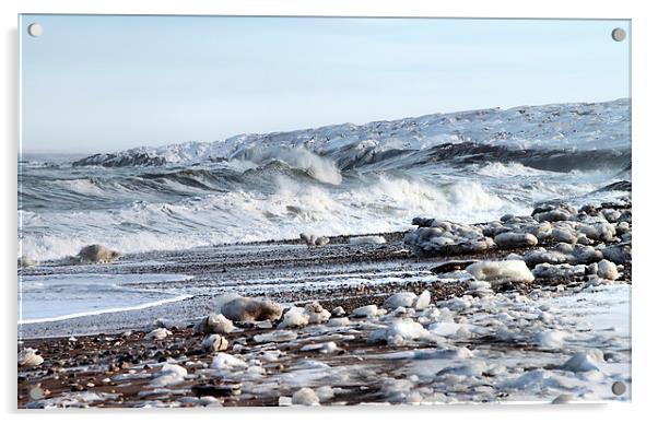 Hudson Bay Shoreline Canada Acrylic by Carole-Anne Fooks