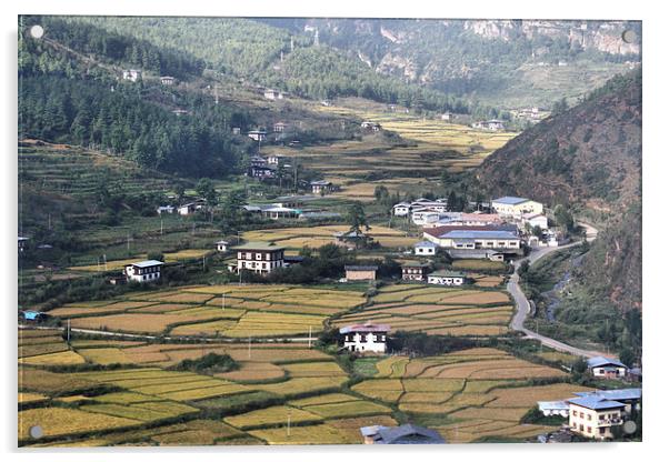 Bhutan from the Air Acrylic by Carole-Anne Fooks