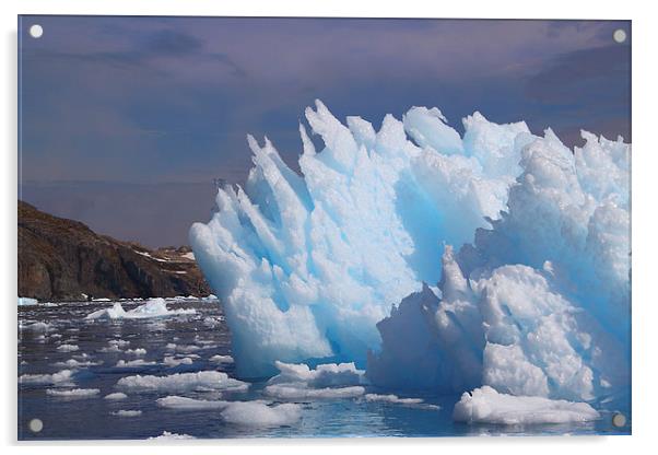 Iceberg Cierva Cove Antarctica Acrylic by Carole-Anne Fooks