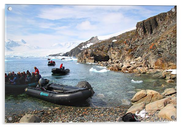 Cierva Cove Antarctica Acrylic by Carole-Anne Fooks