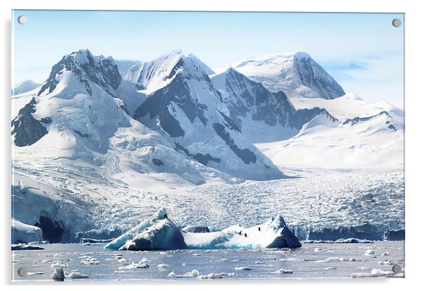 Cierva Cove Glaciers & Iceberg Acrylic by Carole-Anne Fooks