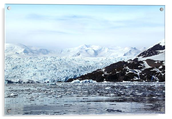 Glacier in Cierva Cove Antarctica Acrylic by Carole-Anne Fooks