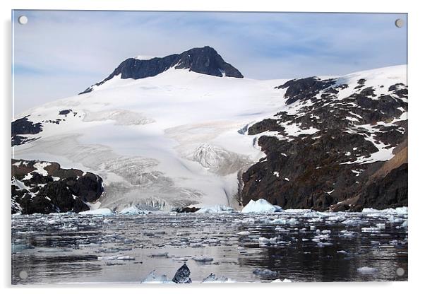 Glacier in Cierva Cove Antarctica Acrylic by Carole-Anne Fooks