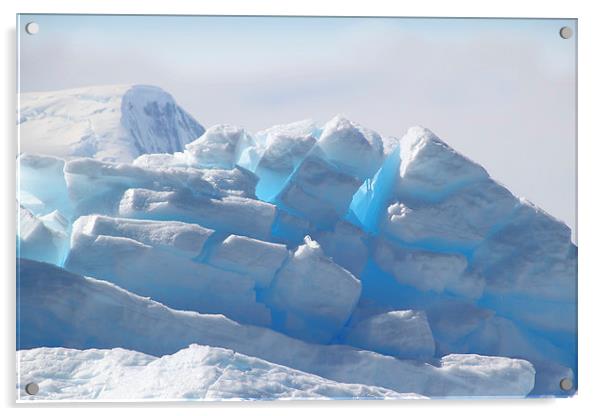 Iceberg Detail Cierva Cove, Antarctica Acrylic by Carole-Anne Fooks