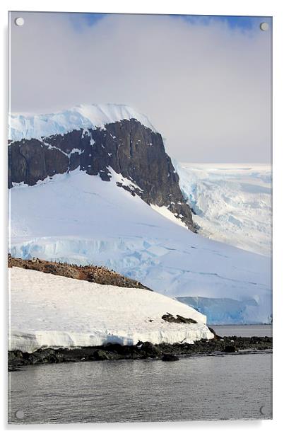 Trinity Island & The Antarctic Peninsula Acrylic by Carole-Anne Fooks