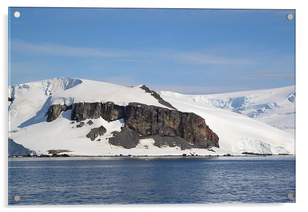 Cierva Cove, Antarctica Acrylic by Carole-Anne Fooks