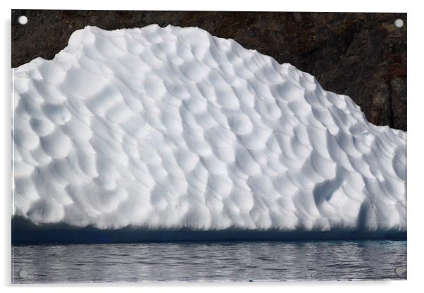 Iceberg in Cierva Cove Antarctica Acrylic by Carole-Anne Fooks