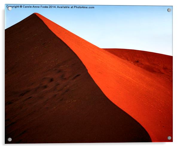 Sculptural Dune, Namib Desert, Namibia Acrylic by Carole-Anne Fooks