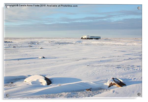  Tundra Buggy Lodge on the Vast Tundra Acrylic by Carole-Anne Fooks